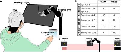Applying Dimensionality Reduction Techniques in Source-Space Electroencephalography via Template and Magnetic Resonance Imaging-Derived Head Models to Continuously Decode Hand Trajectories